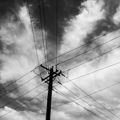 Utility Pole and Wire