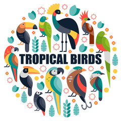 TropicalBirds