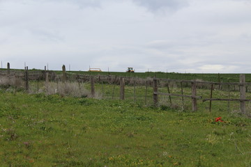 Fototapeta na wymiar rural landscape with green field