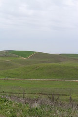 Fototapeta na wymiar landscape with green field and blue sky