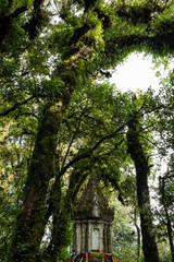 The Shrine in Green Forest