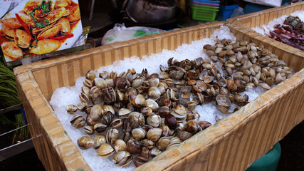 Fresh clams at a street market, Thailand