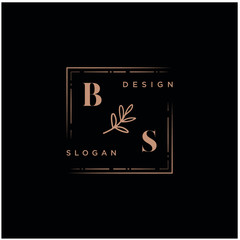 BS Beauty vector initial logo, handwriting logo of initial signature, wedding, fashion, jewerly, boutique, floral and botanical with creative template for any company or business