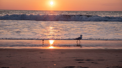 Sunrise OBX