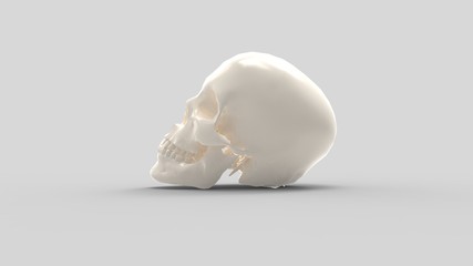 3d rendering of a human skull isolated in colored background