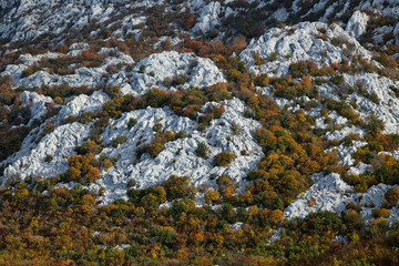 Autumn on Velebit mountain, Croatia