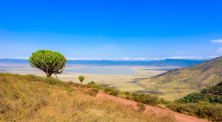 Panorama of Ngorongoro crater National Park with the Lake Magadi. Safari Tours in Savannah of...