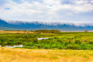 Panorama of Ngorongoro crater National Park with the Lake Magadi. Safari Tours in Savannah of Africa. Beautiful landscape scenery in Tanzania, Africa © Simon Dannhauer
