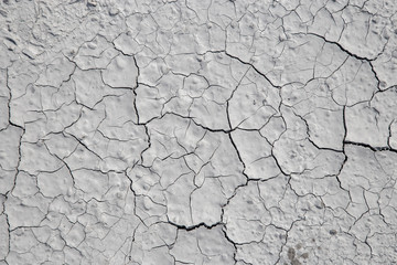Dried cracked clay texture