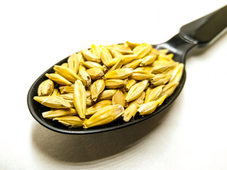 A picture of barley corn