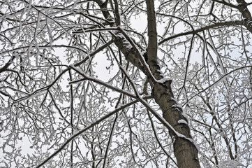Obraz premium Winter in Gröhren auf Rügen