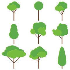 Trees, set of green realistic trees. Vector, cartoon illustration of green trees isolated on white.