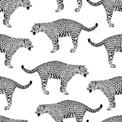 Zebra and leopard pattern mix. Black and white seamless background. Wild animal print. Vector illustration.