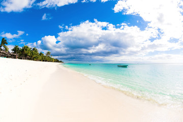 Tropical holiday beach with ocean, white sand, palm