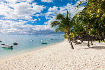 Fototapeta na wymiar Luxury beach in Mauritius with transparent ocean, white sand beach, palms and sky