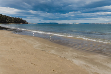 Obraz premium pristine natural beach in Tasmania, Australia with no people
