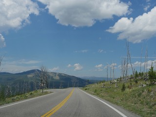 Scenic drives at Yellowstone National Park in Wyoming on a beautiful day.