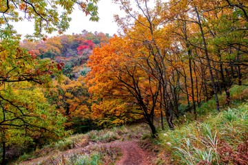 マゼノ渓谷の紅葉