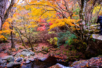 マゼノ渓谷の紅葉