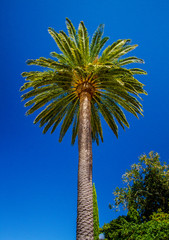 Fototapeta premium California Coast