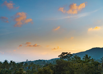 Obraz na płótnie Canvas Spectacular sunset over trees and mountain on a tropical island
