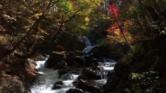 Scenic Mountain Stream in Autumn (loop)