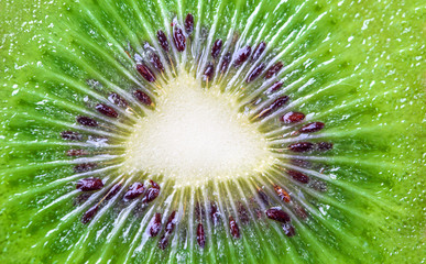 kiwi fruit, close up