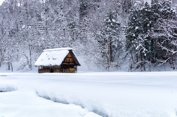 Shirakawago Japan