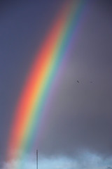 Rainbow in an autumn day