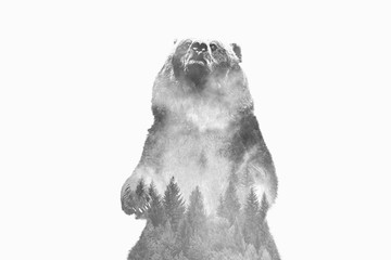 Minimal style double exposure with a bear and misty mountains