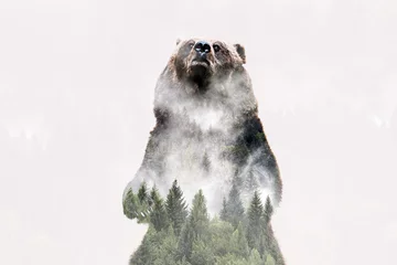 Foto op Canvas Minimal style double exposure with a bear and misty mountains © belyaaa