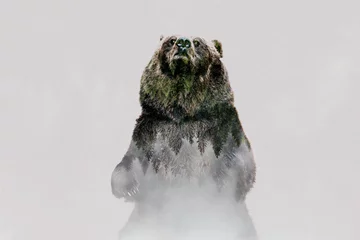 Möbelaufkleber Minimal style double exposure with a bear and misty mountains © belyaaa
