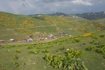Fototapeta na wymiar Landscape in Gomis Mta village with the Georgian Mountains in the background