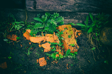 Broken orange bricks and green grasses that sprout through them against the black soil