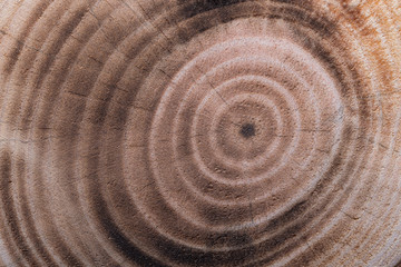 Fototapeta na wymiar Surface of old textured wooden board for background