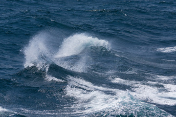 Waves of stormy cold sea on the south of Iceland