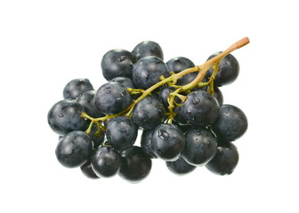 A bunch of overripe grapes isolated on white background.