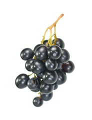 A bunch of overripe grapes isolated on white background.