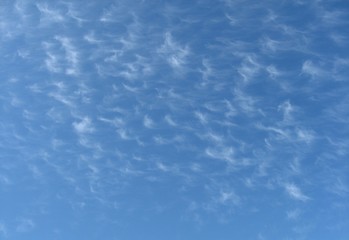 Fototapeta na wymiar Atmospheric sky art image. A meteorological sky cloudscape scene, with a delightful white Cirrocumulus cloud in a light blue sky. Australia.