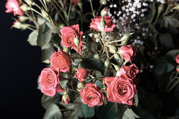 Wonderful bouquet of bush roses and gypsophila on a dark background. Selective focus. Shallow depth of field. Toned