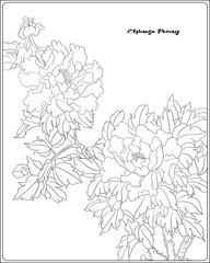 Peony tree branch with flowers in the style of Chinese painting on silk Coloring page for the adult coloring book.. Outline hand drawing vector illustration..