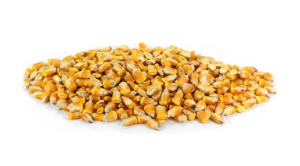 Dried corn seeds isolated on white background.