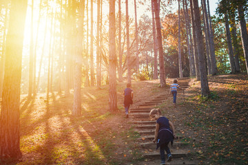 Rear view of kids walking in the woods on sunny day,