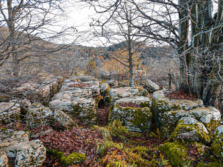 Montaña con arboles y nubes