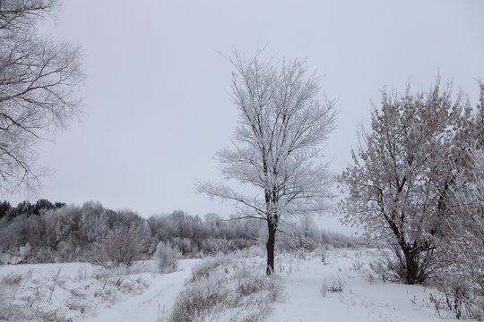 Beautiful winter landscape in russian province