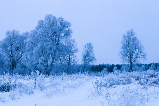 Beautiful winter landscape in russian province. Toned
