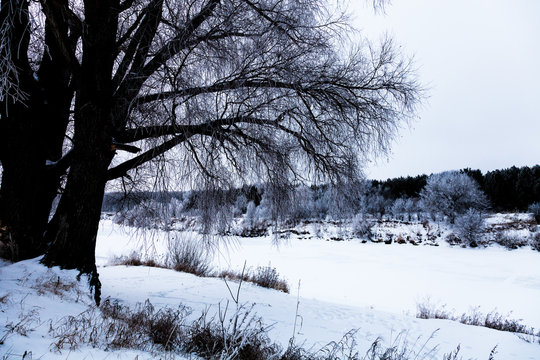 Beautiful winter landscape in russian province. Toned