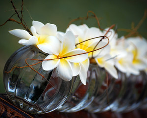 Frangipani Flowers, Wedding Floral Table Arrangement. Tropical Wedding Flowers.