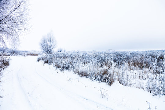 Beautiful winter landscape in russian province. Toned