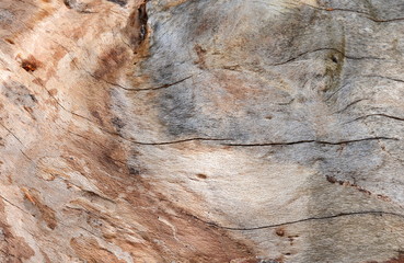 Close up of old aged weathered cracked wood profile surface texture log texture old wood texture. Beautiful wooden texture. Rustic wooden surface.